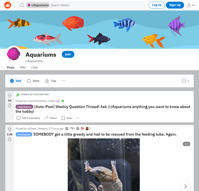 Screen Capture of Reddit Aquarium Group Page